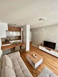 Tina Apartman Sokobanja - Resnik