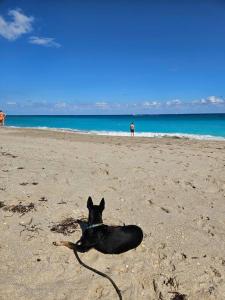 3 bedroom Casa Azul in Historic Northwood Hills