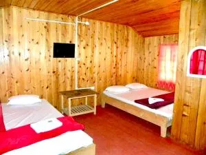 Mountain Life - Rishop