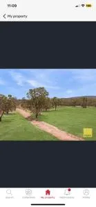 Jabiru (Stork) Wetland Farmstay - Monto