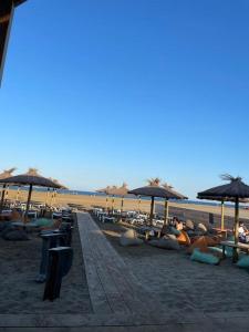 Appartements Appartement avec terrasse Classe : photos des chambres