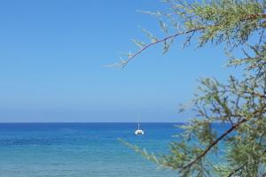 Appartamento Panoramico con due terrazze vista sul mare - IUN P5019