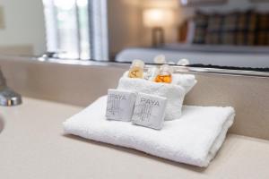Queen Room room in Sea Pines Golf Resort