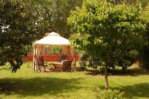 Apartamento con encanto LEstany 1