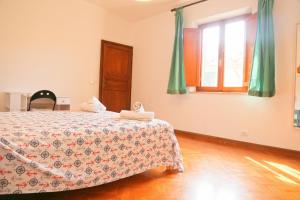 Agonigi Apartment Torre di Pisa