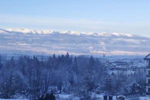 2BR mountain view, SPA, parking, ski piste