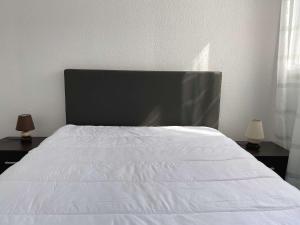 Appartements Beau T2 renove avec balcons, climatisation et proche des Thermes - Balaruc-les-Bains - FR-1-553-115 : photos des chambres