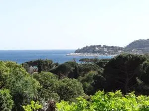 Villa 4 chambres avec piscine et terrasses - FR-1-100-239 - Pardigon