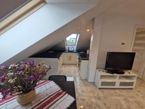 Apartament KNIEJA LUX