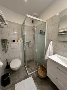Attraktives City-Apartment No3