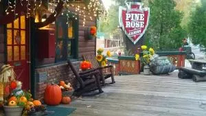 Arrowhead Pine Rose Cabins - Twin Peaks