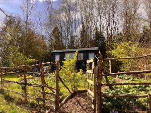 Archie the shepherd’s hut
