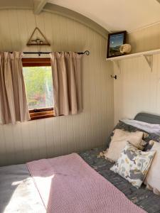 Archie the shepherd’s hut