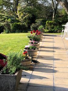 The Old Farmhouse B&B