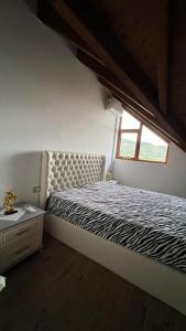 Idili Historik i Kodrës