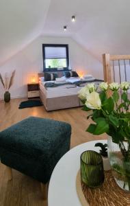 ZATOR Domki INTERSTYL, Energylandia