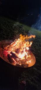 U MARTUŚKI DOMKI POKOJE POD LASEM