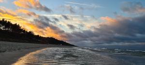 U MARTUŚKI DOMKI POKOJE POD LASEM