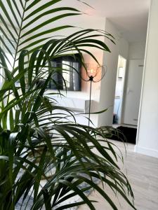 Sejours chez l'habitant Chambre privee ds Appartement Design et Confort refait a neuf PROCHE de PARIS, la DEFENSE et VERSAILLES : photos des chambres