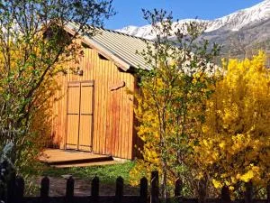 Chalet en Bois avec Terrasse et Jardin, Proche de Barcelonnette, jusqu'à 6 Personnes - FR-1-165A-151 - Barcelonnette