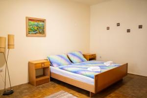 Apartmaji PAJTLER 