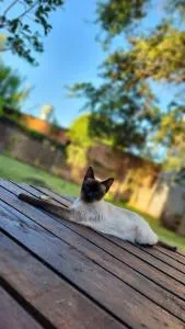 Hostel lo de Kata - Encarnación