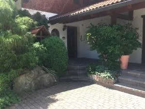 Bergfrühling - Brandstätt