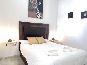 RgHOST-Apartamento La Palma en Casco Histórico