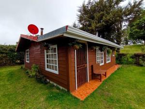 Cabaña Emperador – The place for QUETZALS lovers!