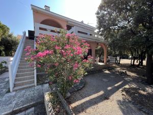 Holiday house with a parking space Simuni, Pag - 22608