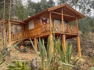 Cabaña Monarca - Salitre