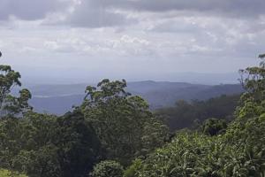 Windsong at Ravensbourne Escape 1 Bedroom