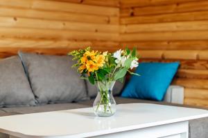 Къщи за гости БРИК