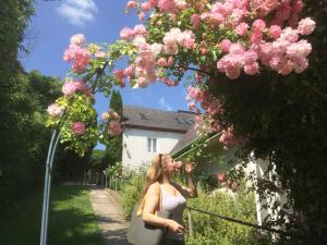 Bioweingut Hauerhof 99 -apartment 3