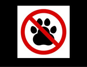 La Maison de Gioel img23