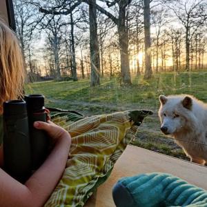 Knuthenborg Safaripark