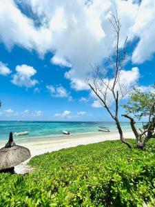 Summer beachfront apartment