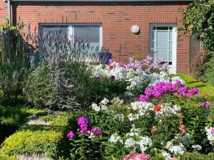 Ferienhof Schoof No4