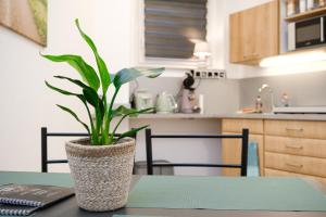 SchlossCasa Lauf an der Pegnitz Zimmer Venedig