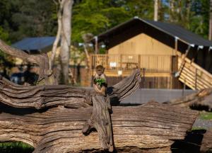 Knuthenborg Safaripark