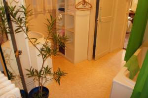 Hôtel particulier Maleteste