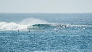 TWIN PALMS Surfhouse