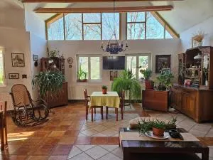 Central home with amazing garden - Olteni