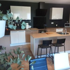 O IGREXARIO Vacacional