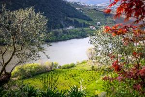 Fraga Douro House, Douro Valley