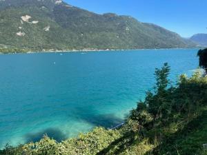 Appartements T3, a 5 min a pied du lac Annecy : photos des chambres