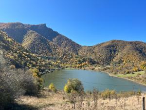 Gvirilas Sakhli Guest House