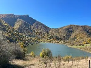 Gvirilas Sakhli Guest House - Kintsvisi