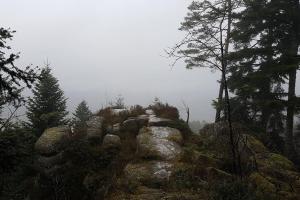 Chalets Chalet Vosgien en A, le Renard : photos des chambres