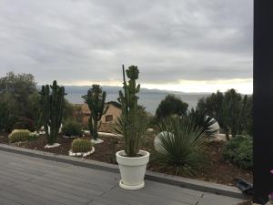 B&B / Chambres d'hotes Barbicaja : photos des chambres